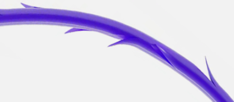 귀족수술 STEP 04